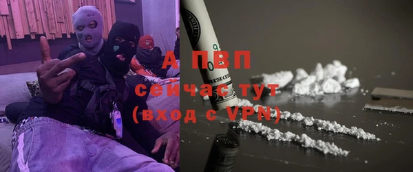 spice Болотное