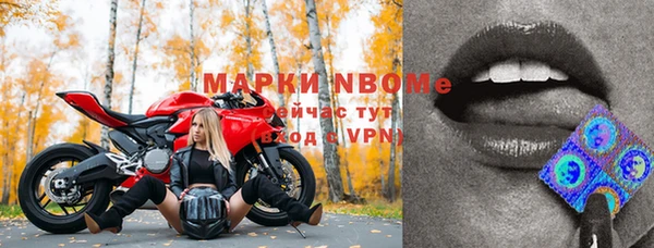 spice Болотное