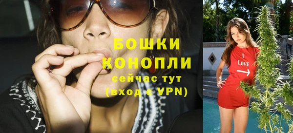 МДПВ Новозыбков