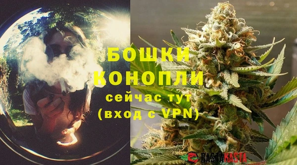 МДПВ Новозыбков