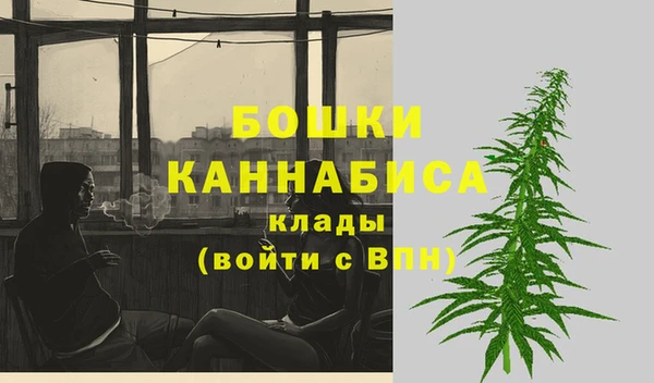 дживик Новокубанск